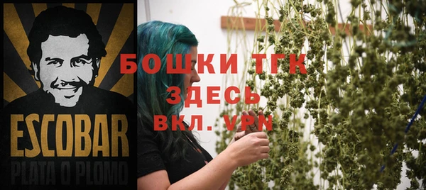 молекула духа Алексеевка
