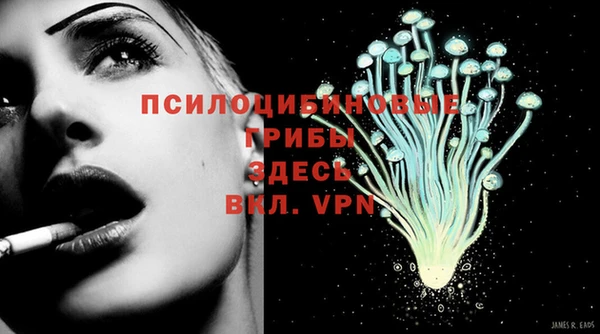 молекула духа Алексеевка